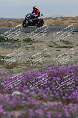 media/Jan-14-2023-SoCal Trackdays (Sat) [[497694156f]]/Turn 14 Exit Bloomig (145pm)/